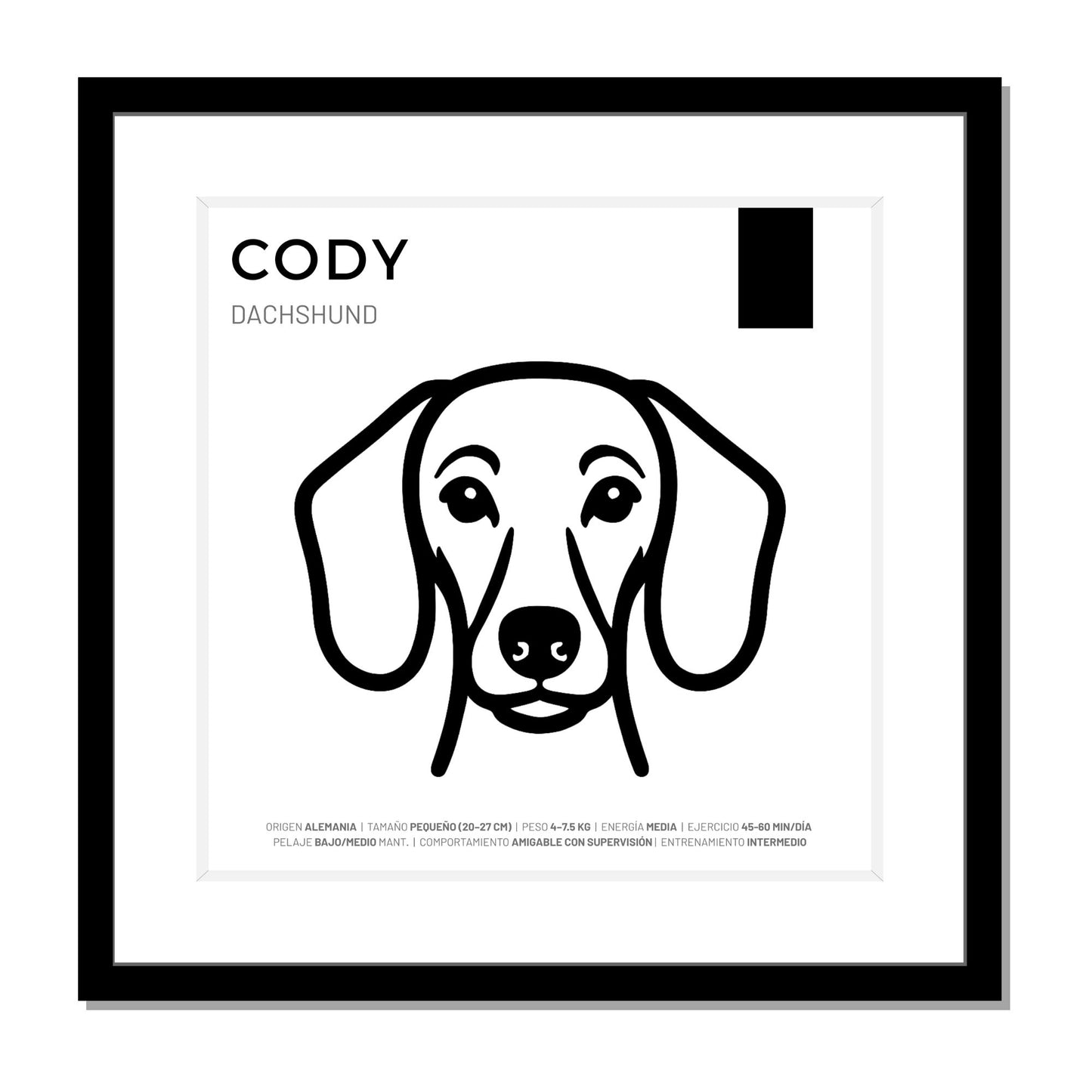 Dachshund (Salchicha) — Cuadro de mascota personalizado