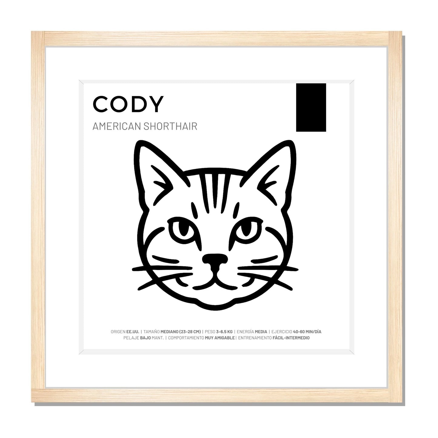 American Shorthair — Cuadro de mascota personalizado