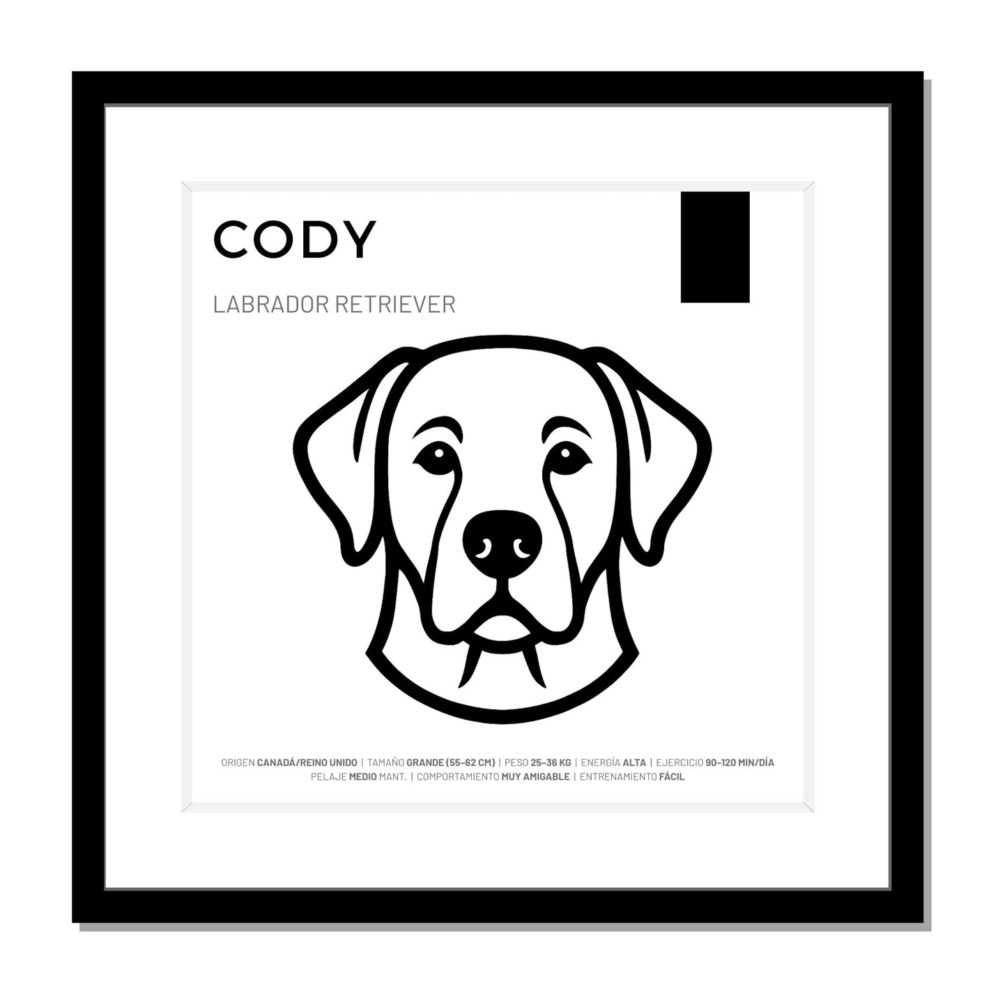 Labrador Retriever — Cuadro de mascota personalizado