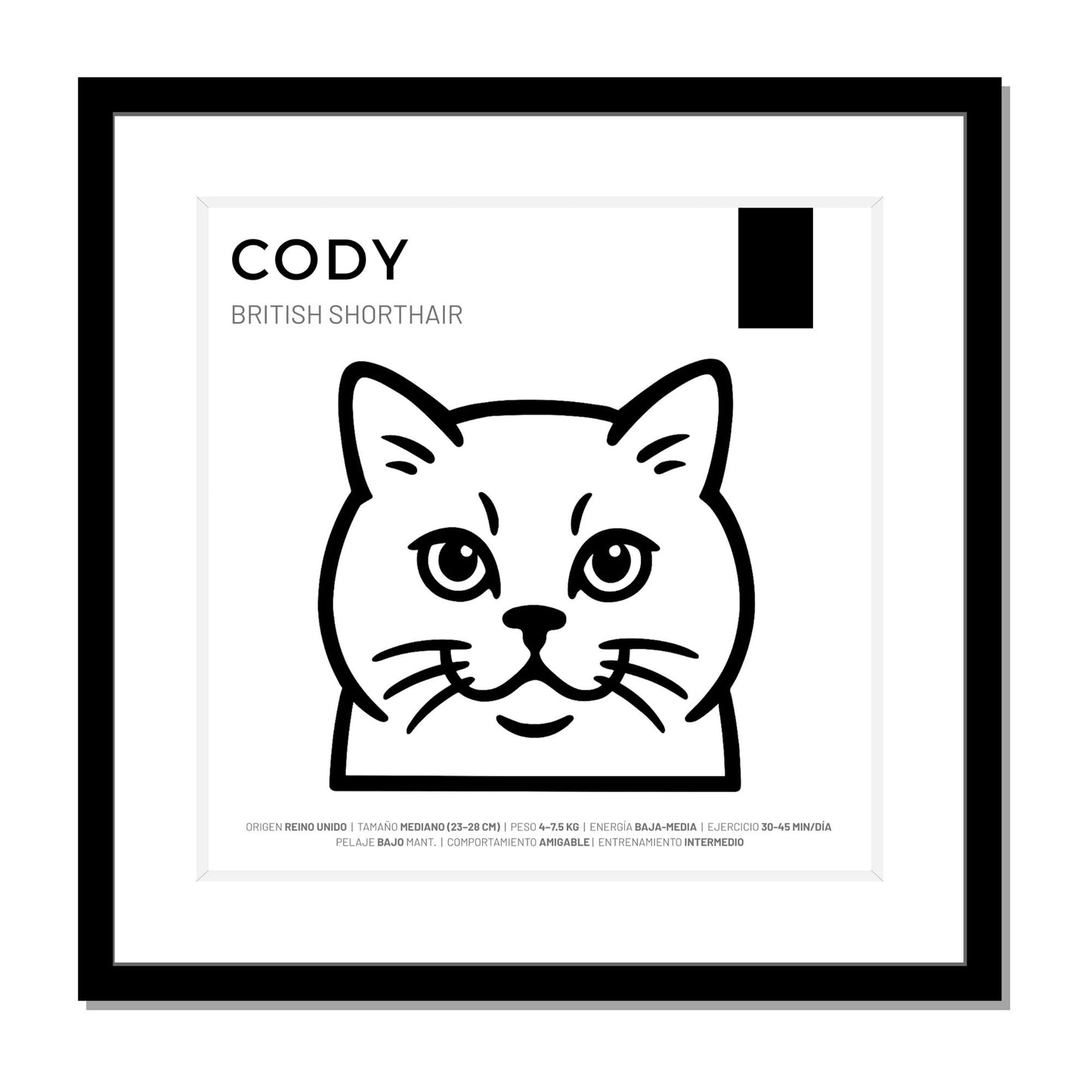 British Shorthair — Cuadro de mascota personalizado