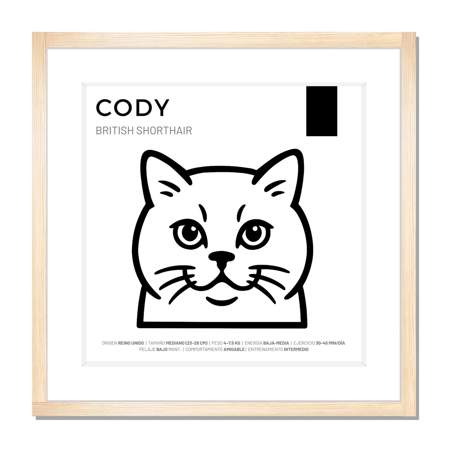 British Shorthair — Cuadro de mascota personalizado