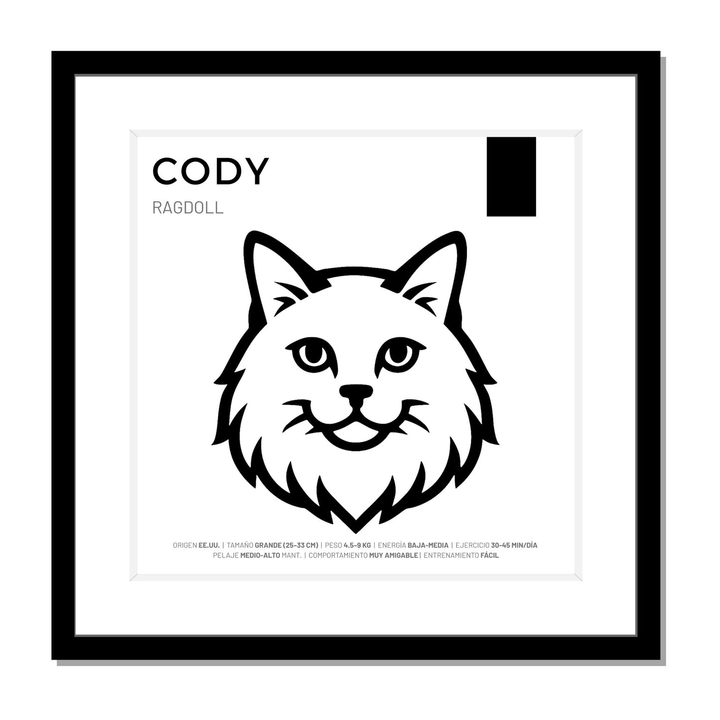 Ragdoll — Cuadro de mascota personalizado