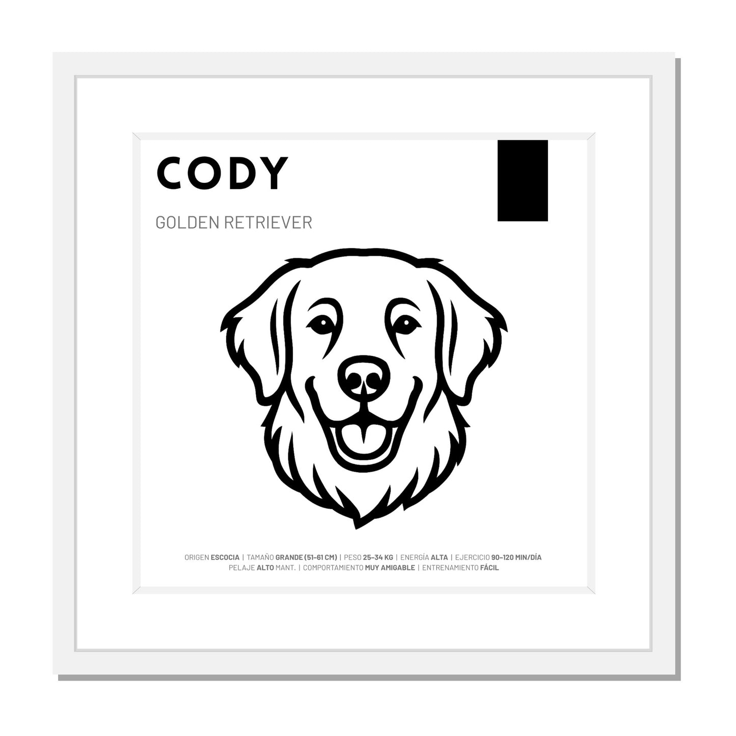 Golden Retriever — Cuadro de mascota personalizado