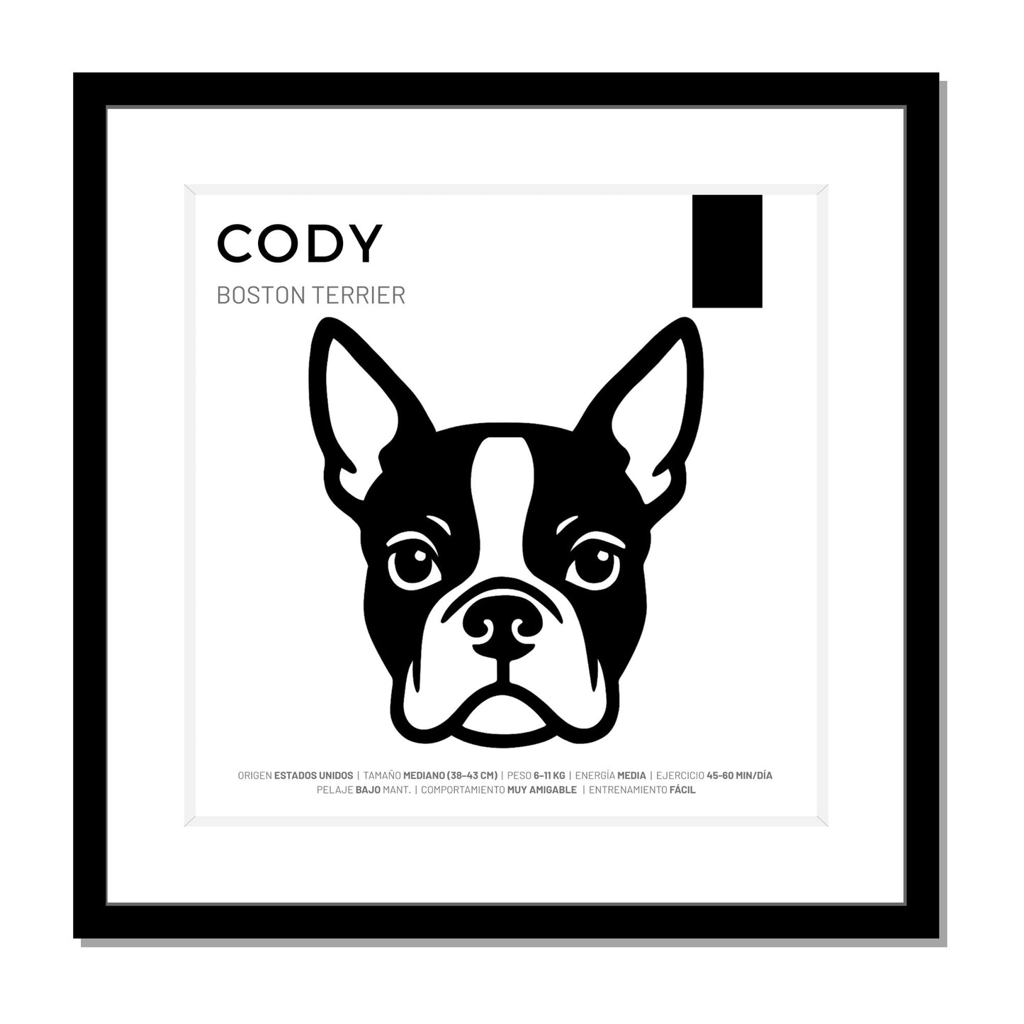 Boston Terrier — Cuadro de mascota personalizado