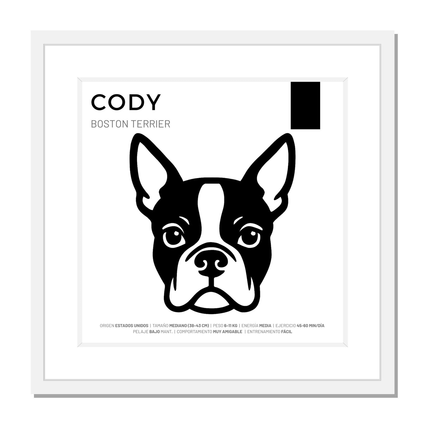Boston Terrier — Cuadro de mascota personalizado