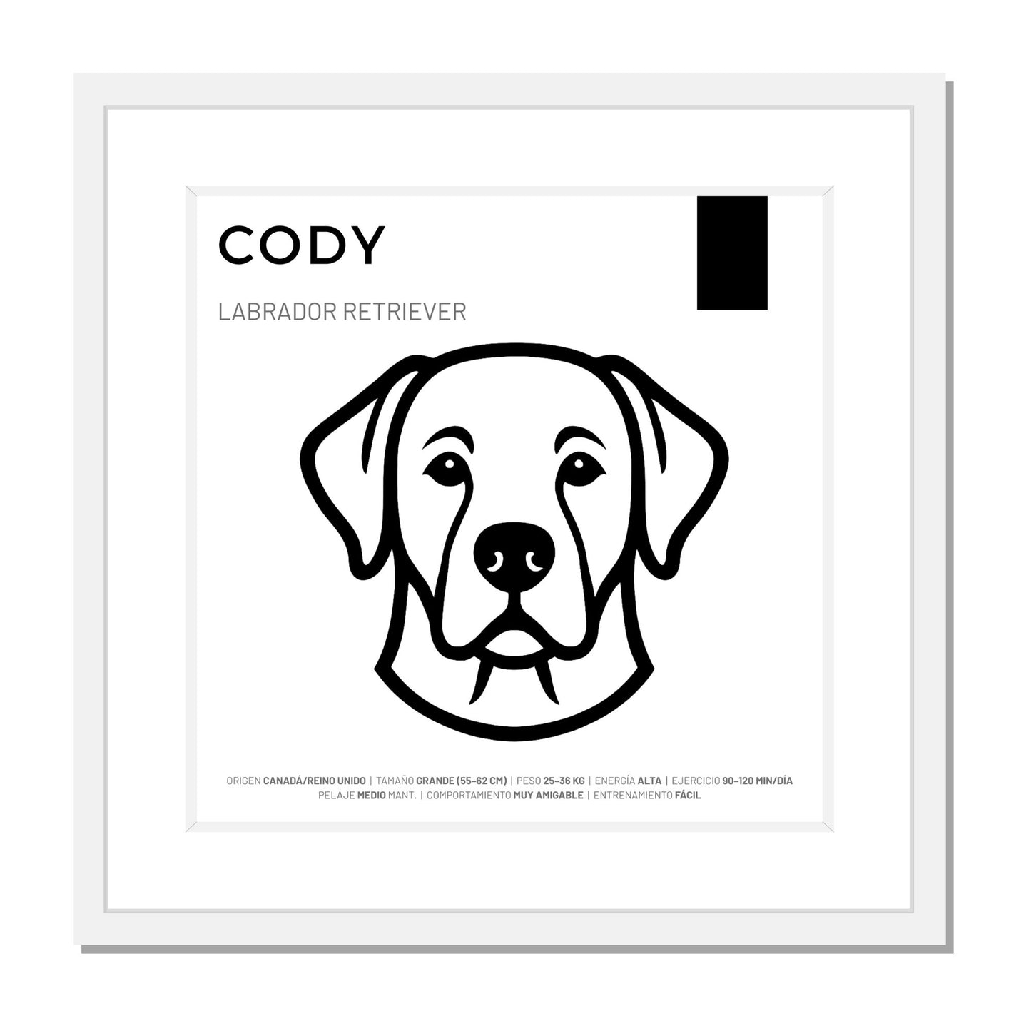 Labrador Retriever — Cuadro de mascota personalizado