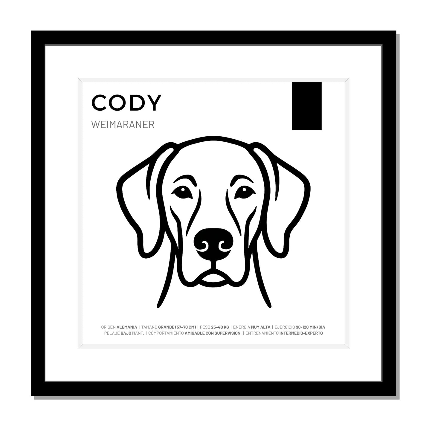Weimaraner — Cuadro de mascota personalizado