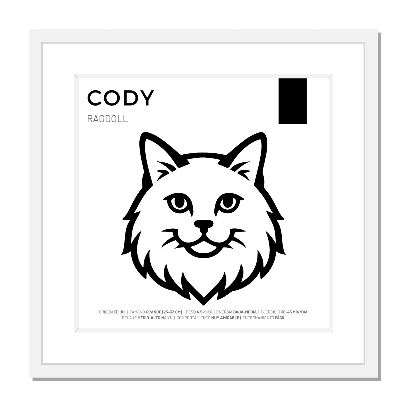 Ragdoll — Cuadro de mascota personalizado