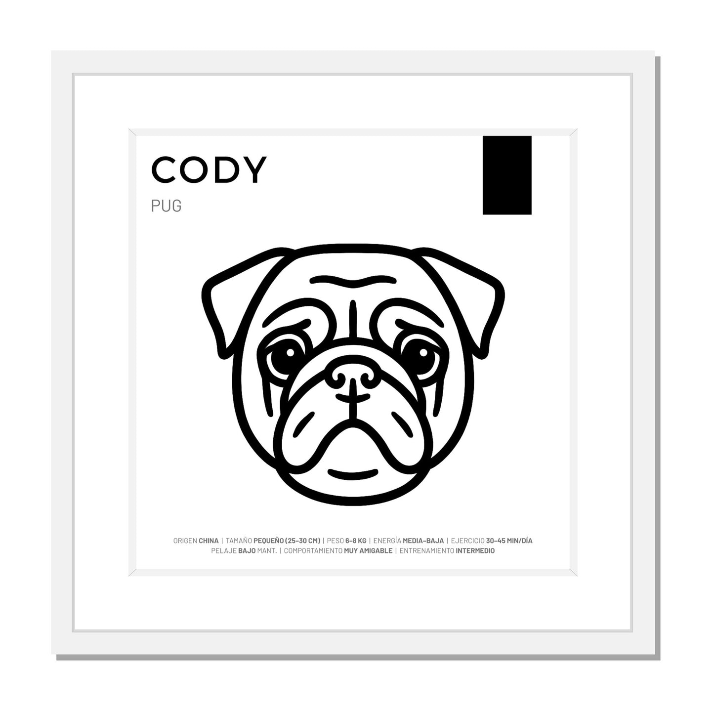Pug — Cuadro de mascota personalizado