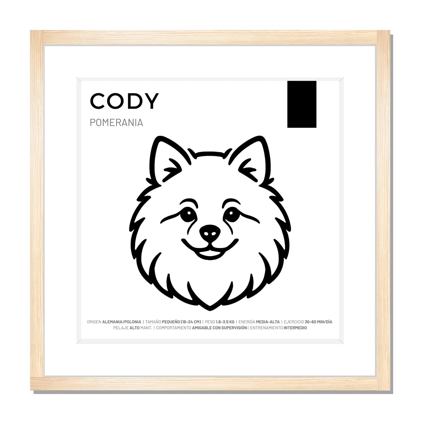 Pomerania — Cuadro de mascota personalizado