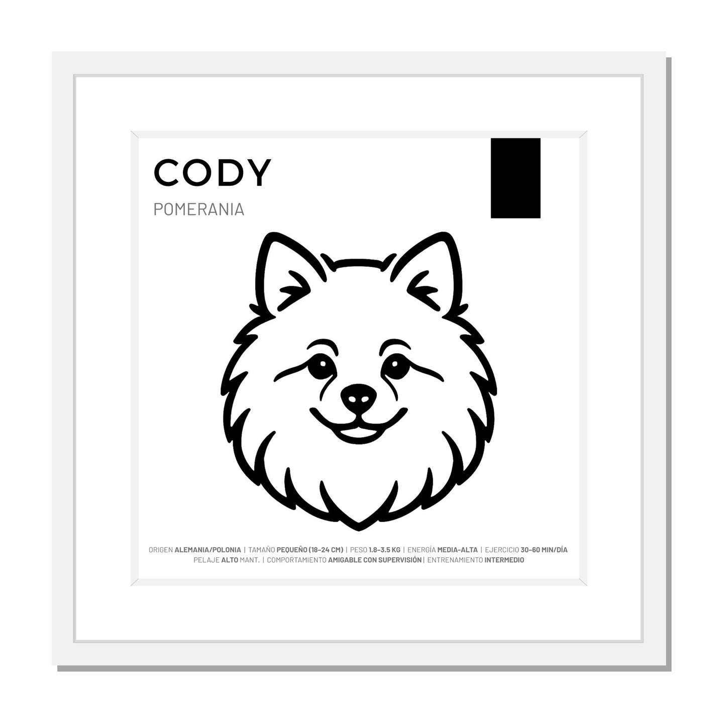 Pomerania — Cuadro de mascota personalizado