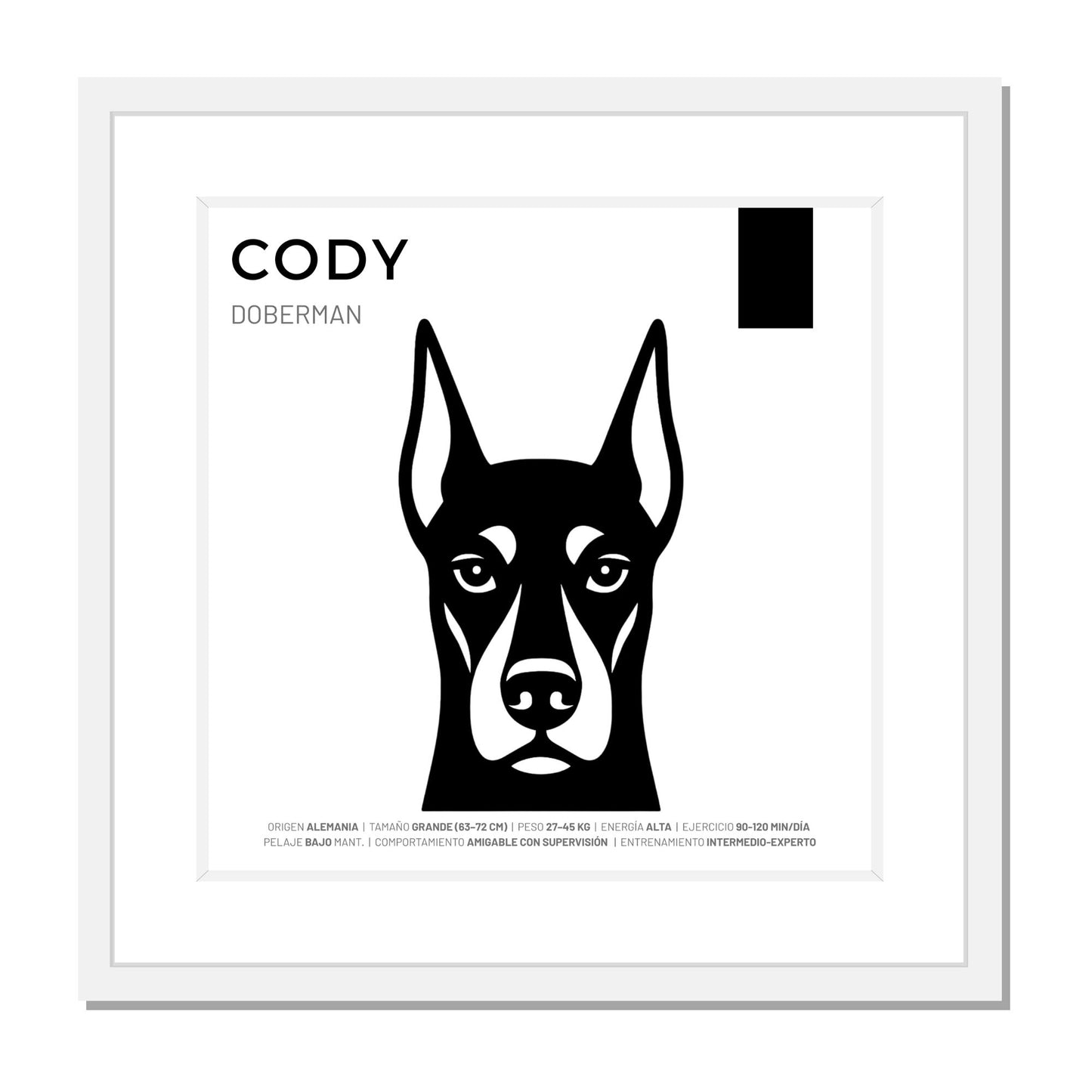 Dóberman — Cuadro de mascota personalizado