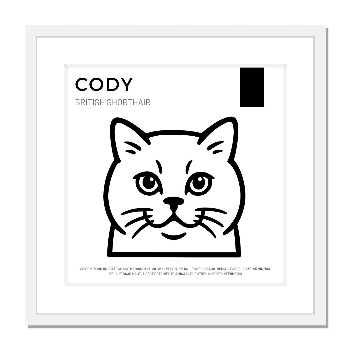 British Shorthair — Cuadro de mascota personalizado