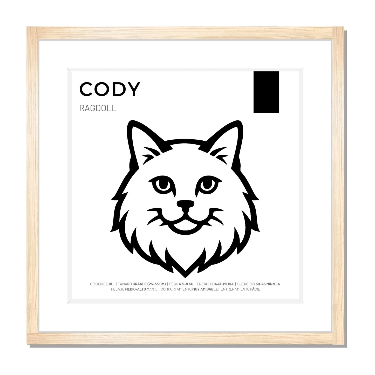 Ragdoll — Cuadro de mascota personalizado