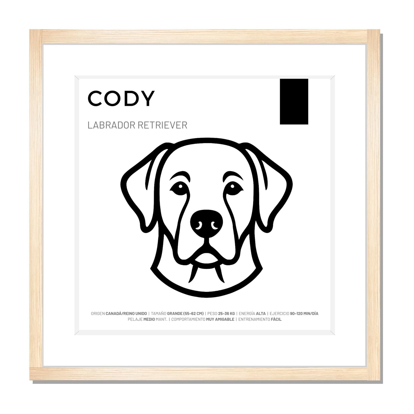 Labrador Retriever — Cuadro de mascota personalizado
