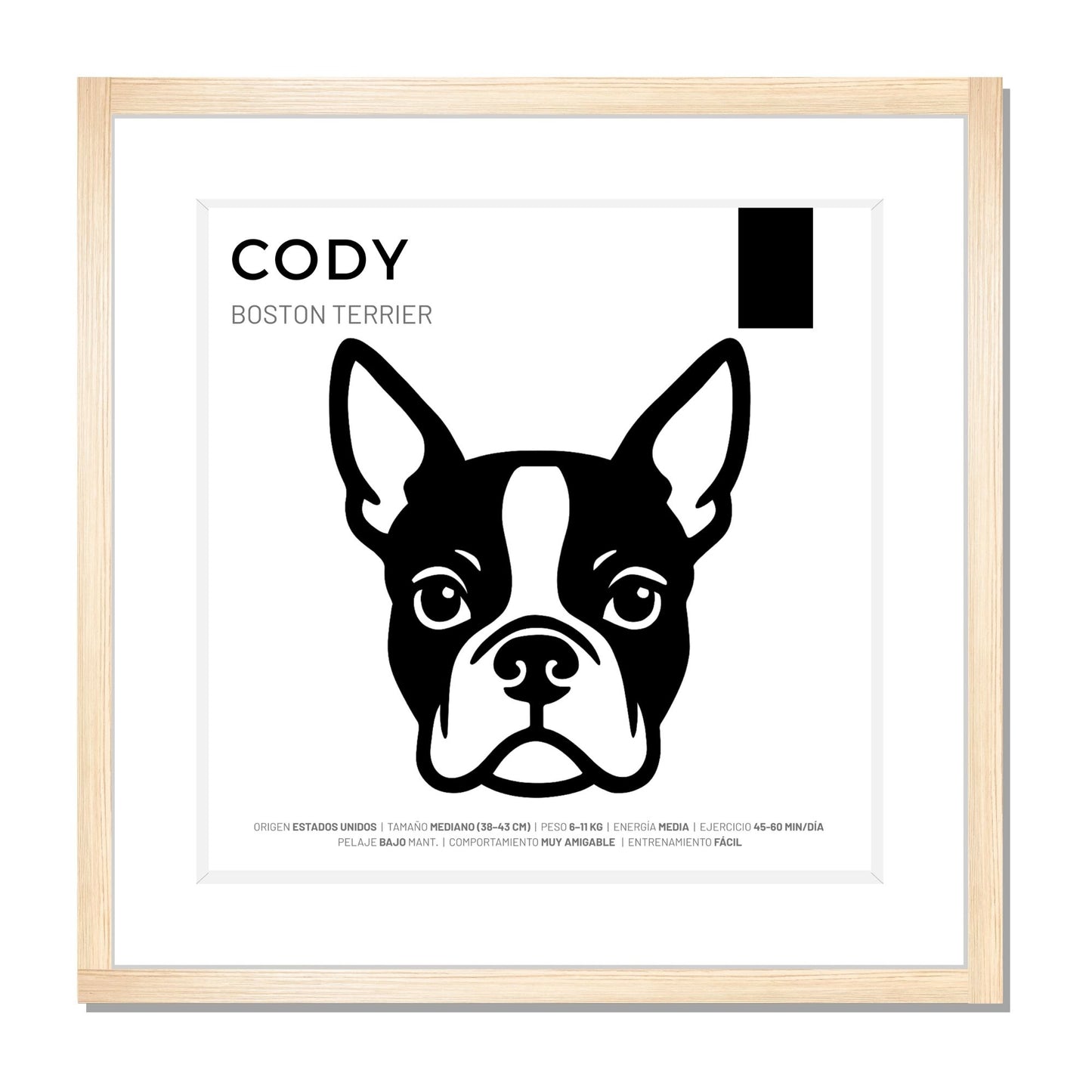 Boston Terrier — Cuadro de mascota personalizado
