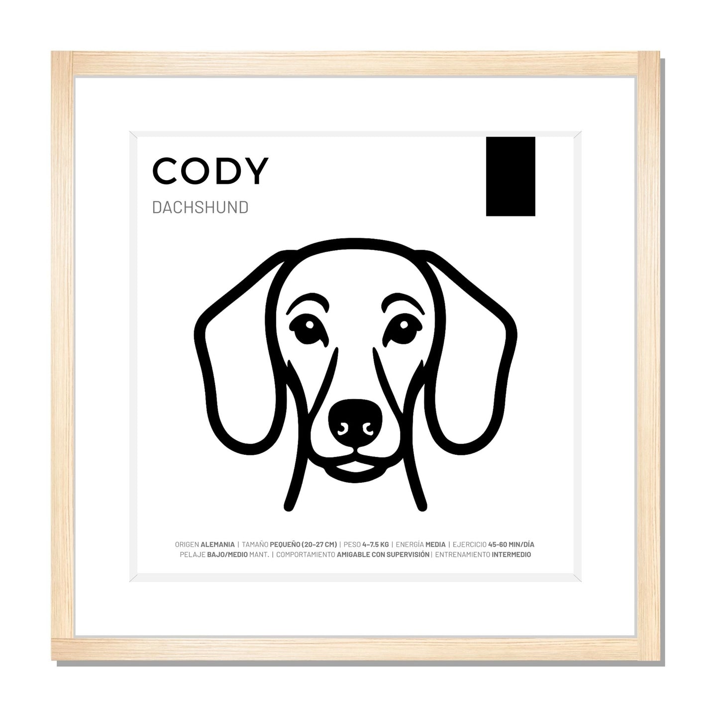 Dachshund (Salchicha) — Cuadro de mascota personalizado