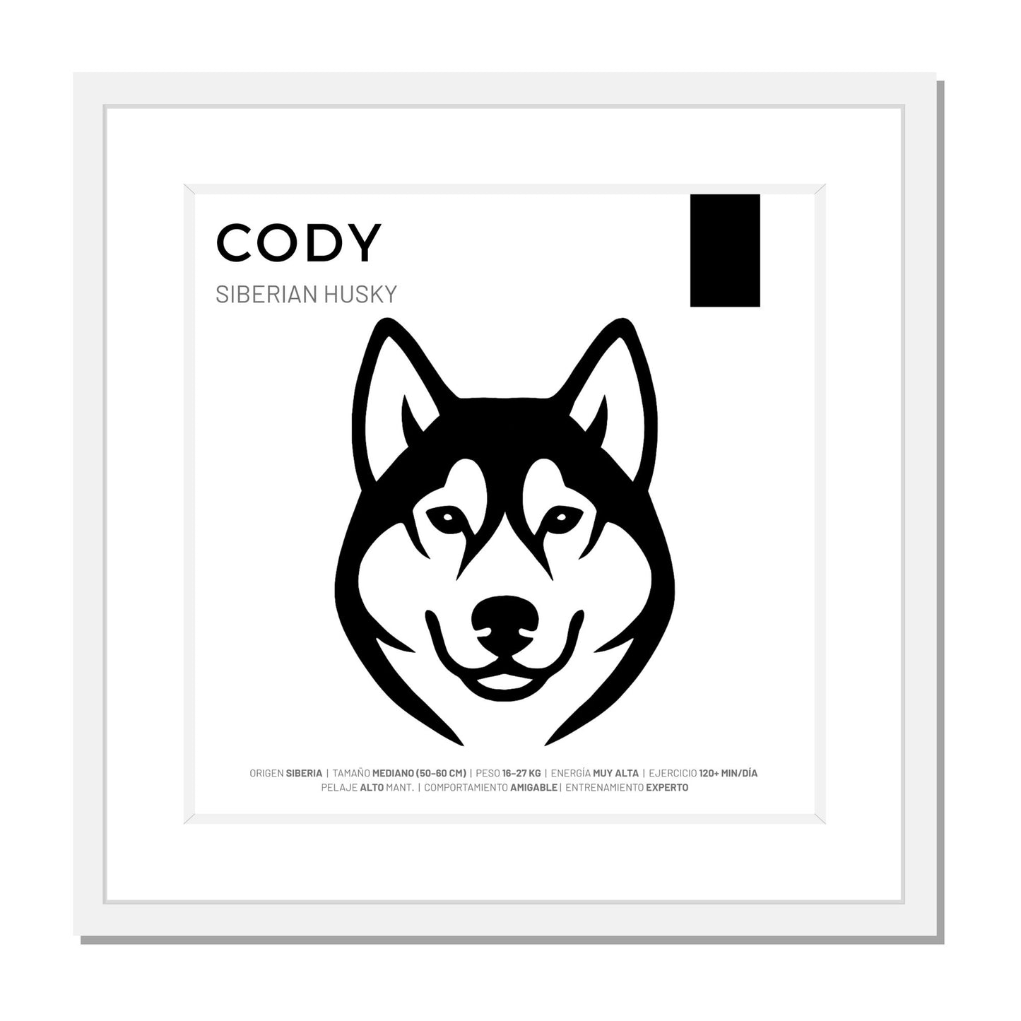 Siberian Husky — Cuadro de mascota personalizado