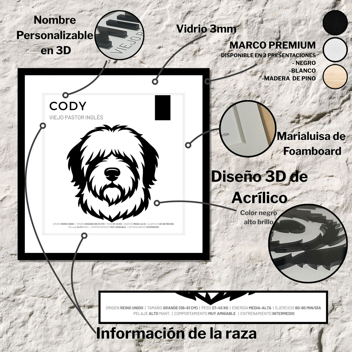 Maine Coon — Cuadro de mascota personalizado